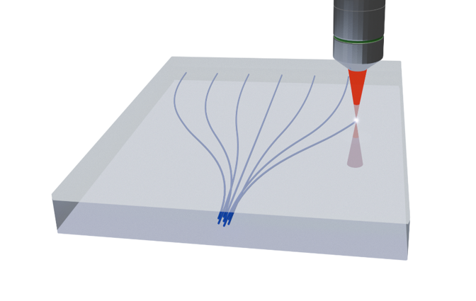 6809b7cfd008d